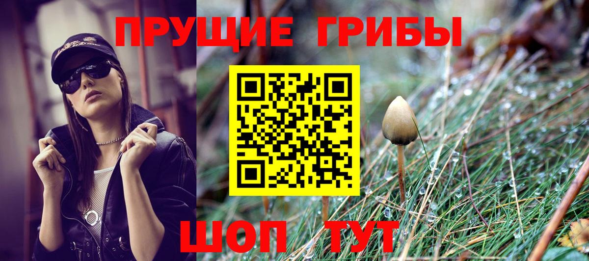 Псилоцибиновые грибы Psilocybe  Вход с VPN  Каменск-Уральский 